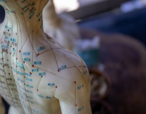 Meridians – Invisible organs of the human body